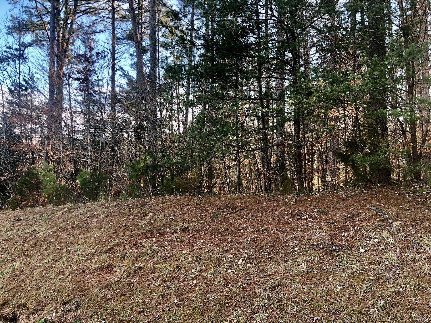 0.64 Acres of Land for Sale in Lynch Station, Virginia