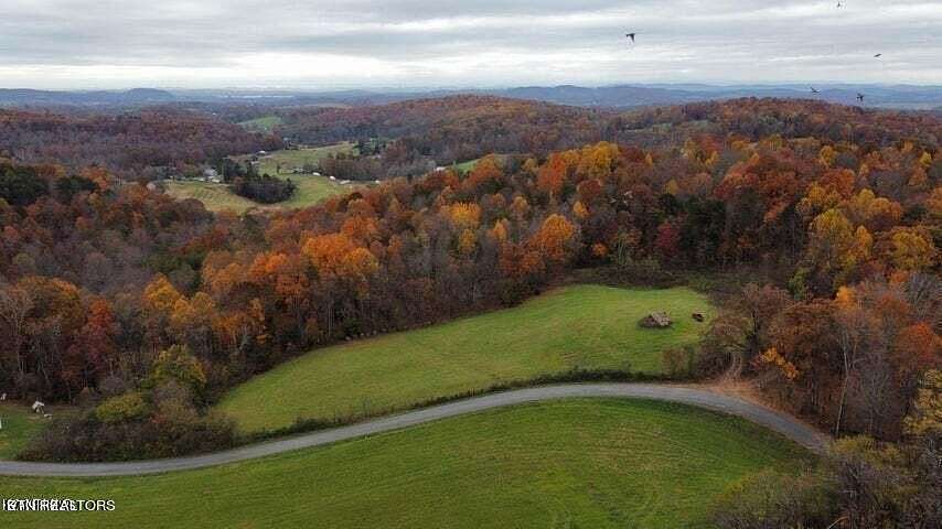 31 Acres of Land for Sale in Blaine, Tennessee