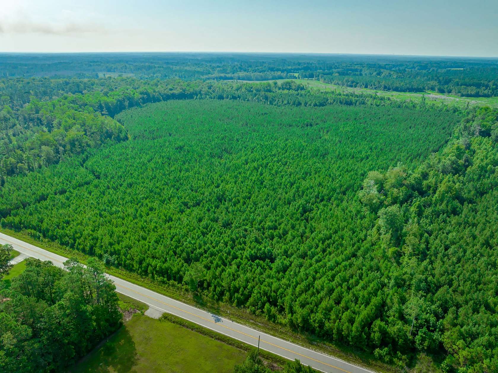 74 Acres of Recreational Land for Sale in Conway, South Carolina