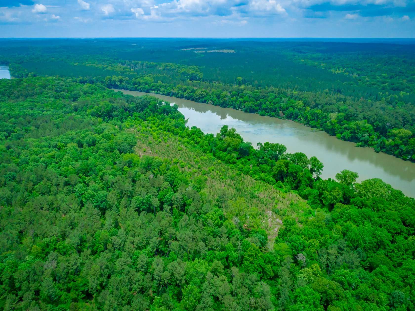 192 Acres of Recreational Land for Sale in Chapin, South Carolina