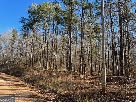 10 Acres of Residential Land for Sale in Ashland, Alabama