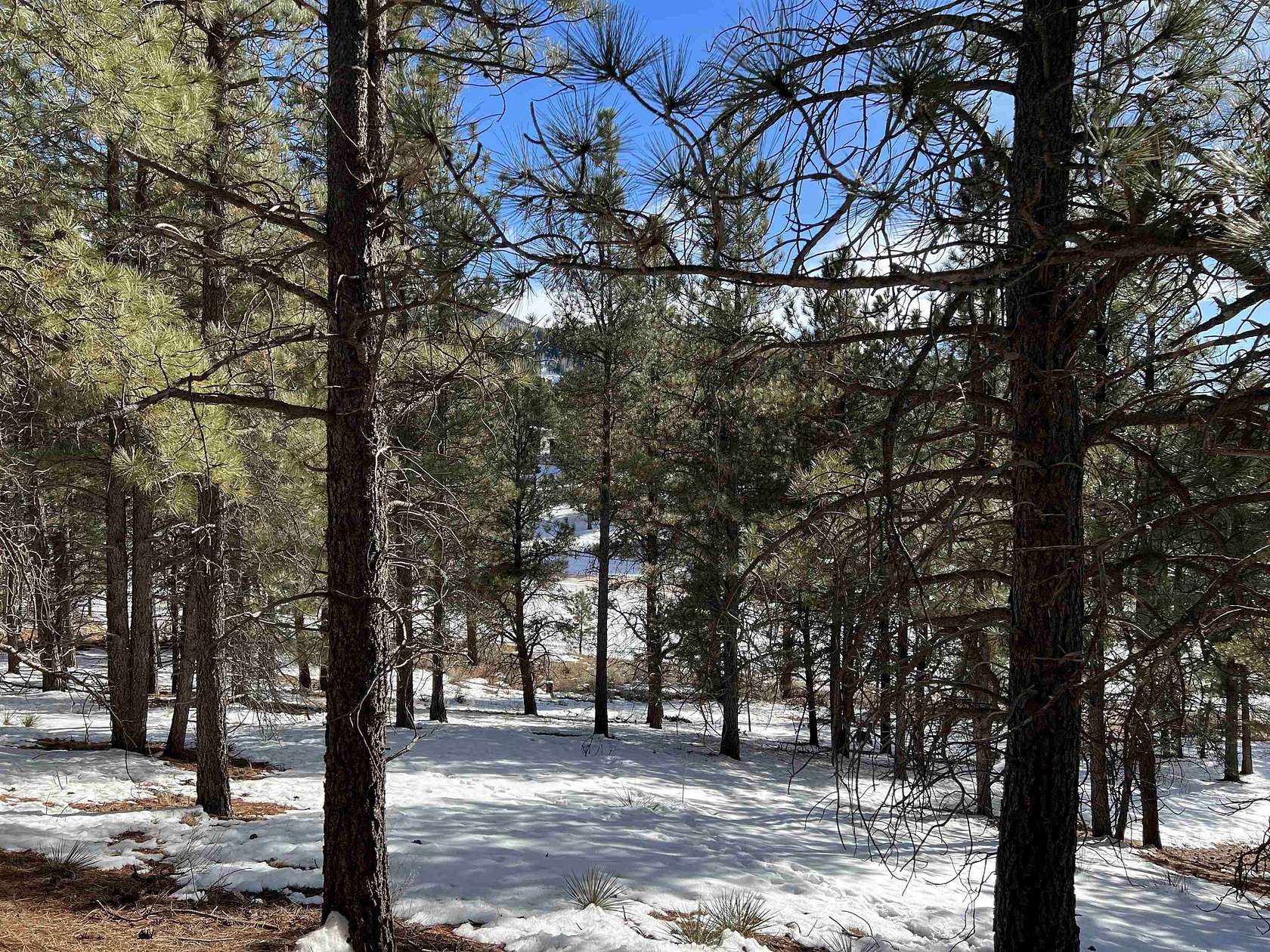 1 Acre of Residential Land for Sale in Angel Fire, New Mexico