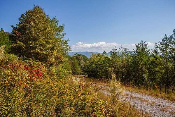 1 Acre of Residential Land for Sale in Murphy, North Carolina