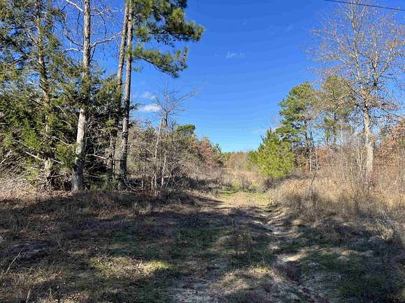 137.808 Acres of Recreational Land for Sale in Tyler, Texas