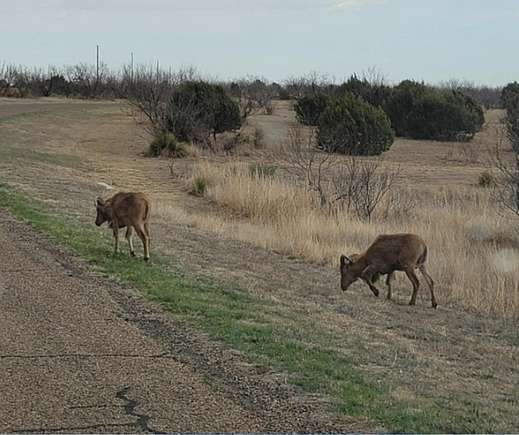 3.42 Acres of Land for Sale in Canyon, Texas