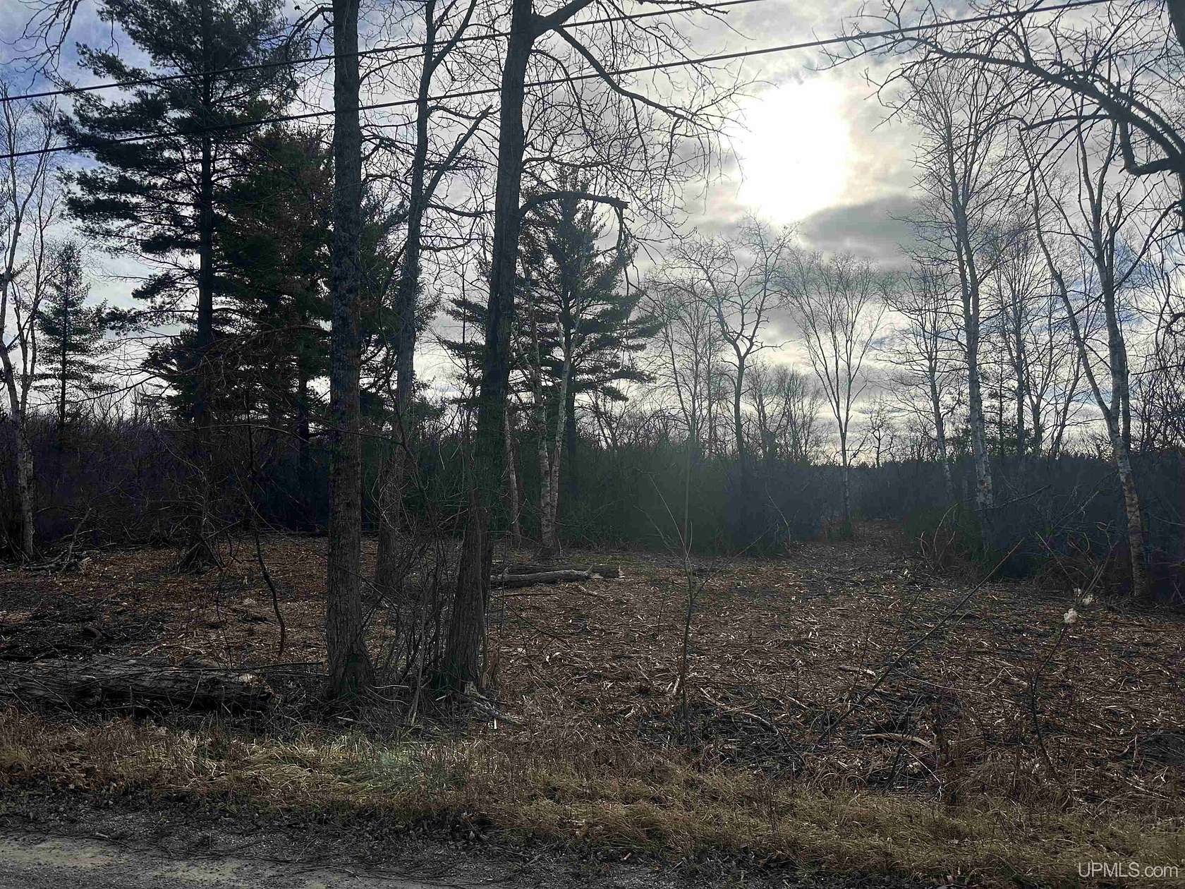 68 Acres of Land for Sale in Escanaba, Michigan