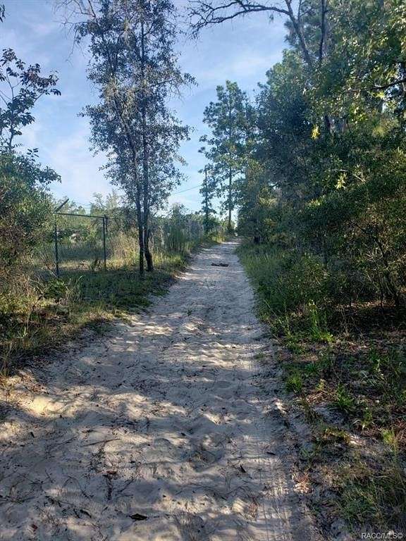 1.3 Acres of Residential Land for Sale in Morriston, Florida