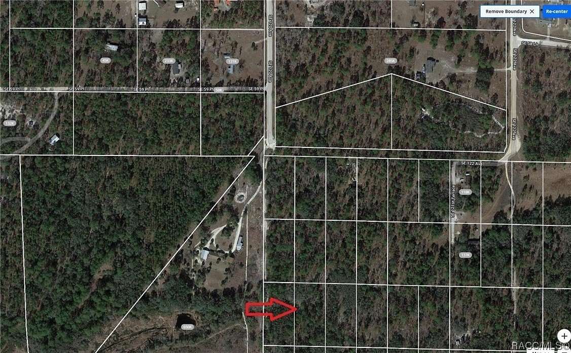 1.25 Acres of Residential Land for Sale in Morriston, Florida