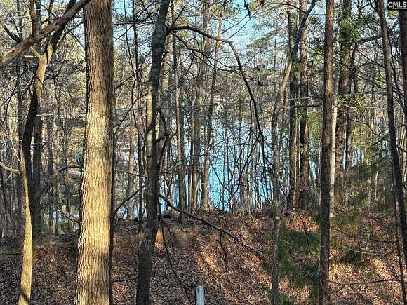 1 Acre of Residential Land for Sale in Ridgeway, South Carolina