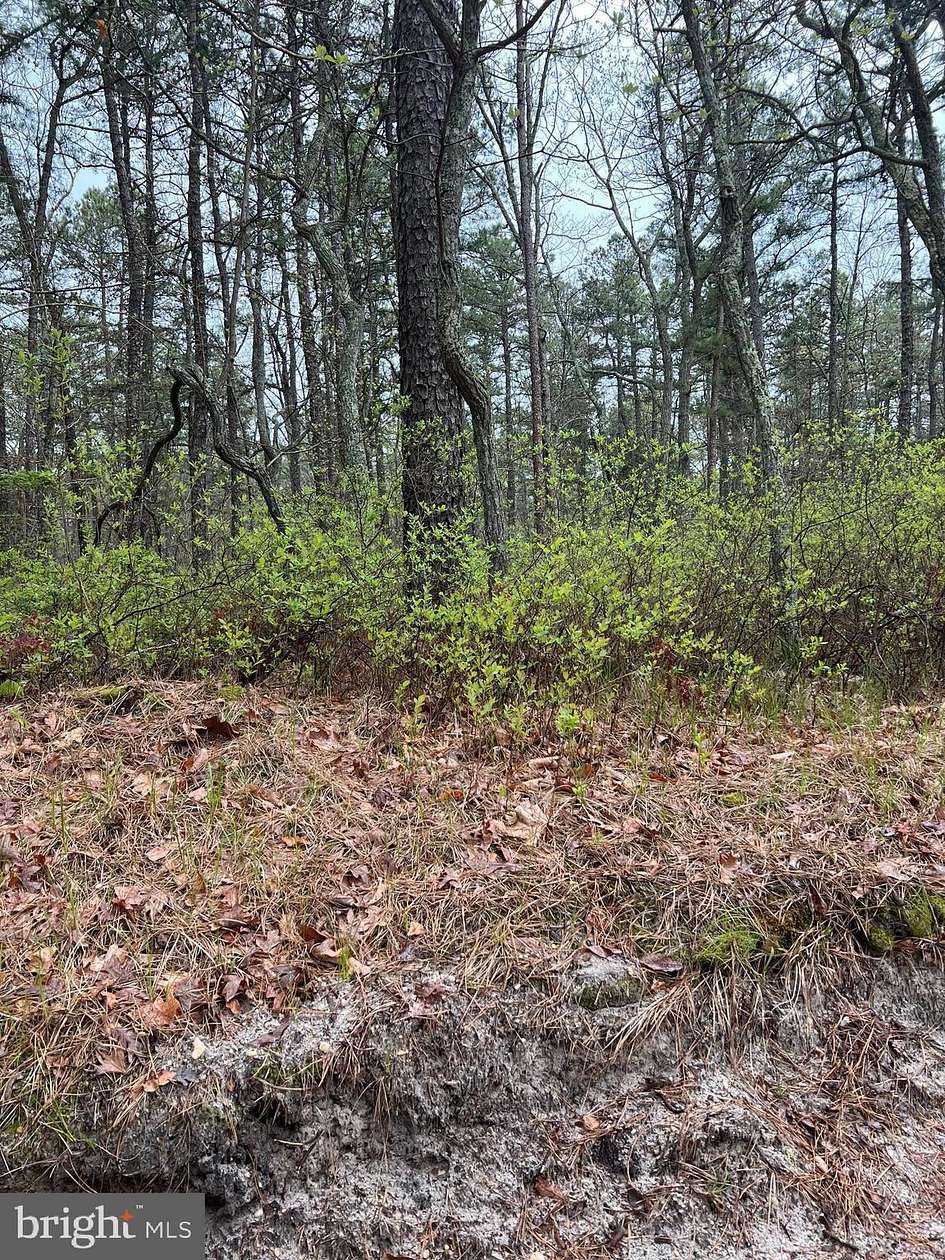 0.33 Acres of Land for Sale in Browns Mills, New Jersey