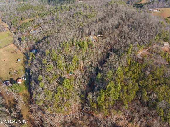5.6 Acres of Land for Sale in Del Rio, Tennessee