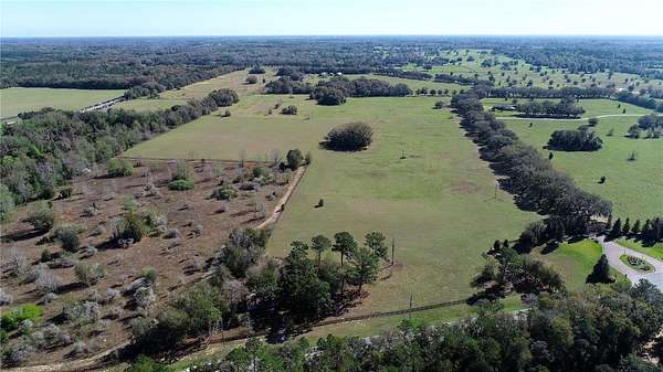 156 Acres of Agricultural Land for Sale in Ocala, Florida