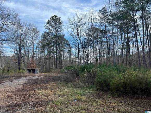 1 Acre of Land for Sale in Clanton, Alabama