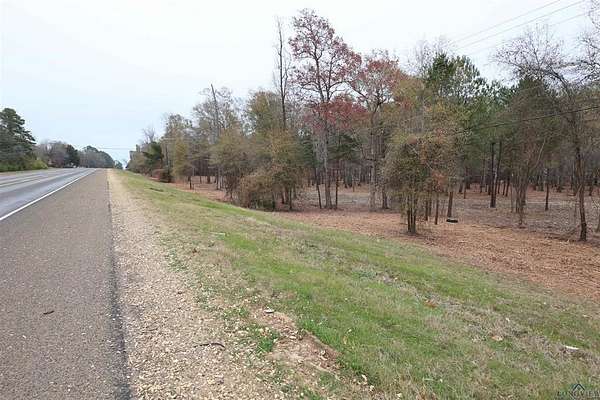 11 Acres of Commercial Land for Sale in Henderson, Texas