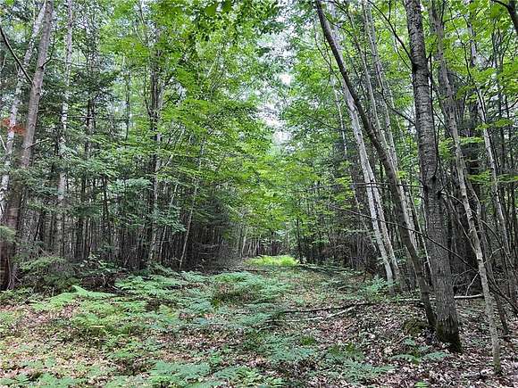 139 Acres of Recreational Land for Sale in Maple, Wisconsin