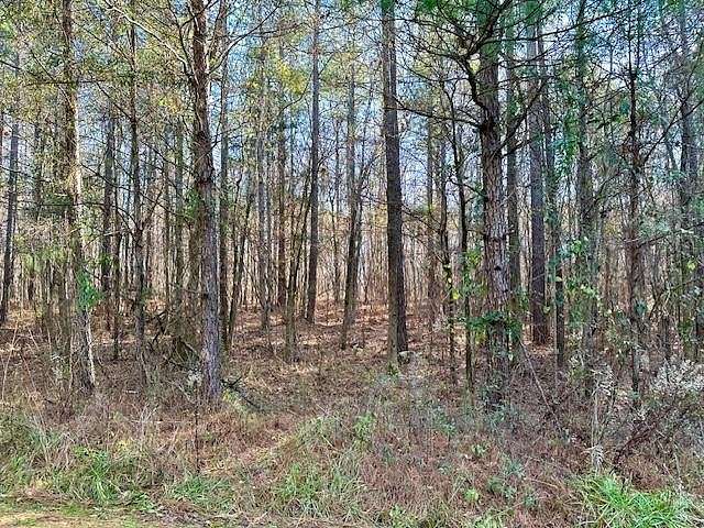 2 Acres of Residential Land for Sale in Waverly Hall, Georgia