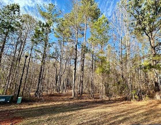 3 Acres of Residential Land for Sale in Waverly Hall, Georgia
