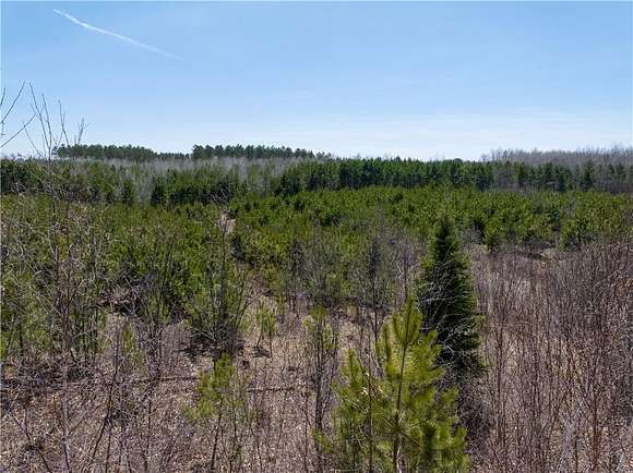 23.7 Acres of Land for Sale in Trego, Wisconsin