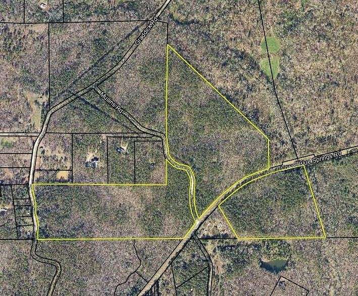 101 Acres of Land for Sale in Hamilton, Georgia