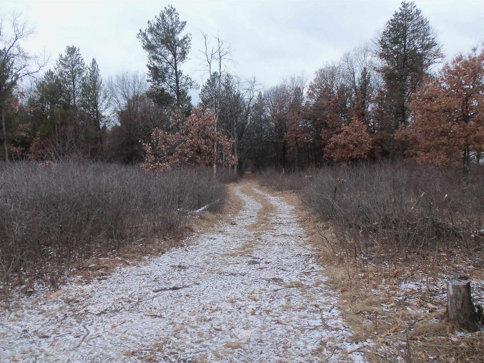 6 Acres of Residential Land for Sale in Nekoosa, Wisconsin