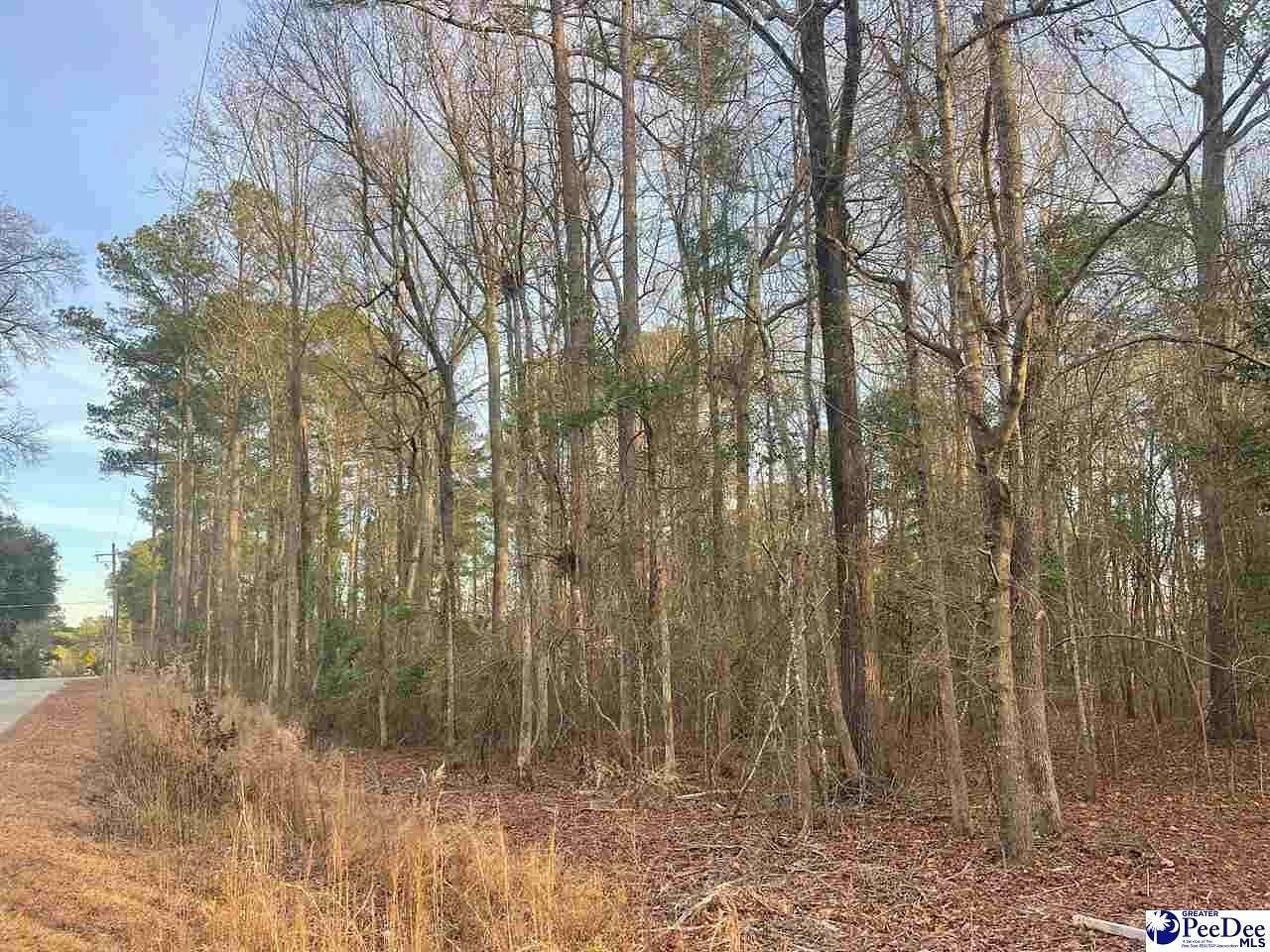 1.23 Acres of Residential Land for Sale in Cheraw, South Carolina