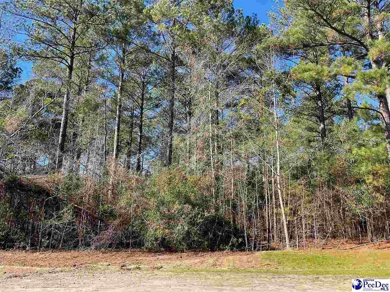 0.66 Acres of Residential Land for Sale in Cheraw, South Carolina