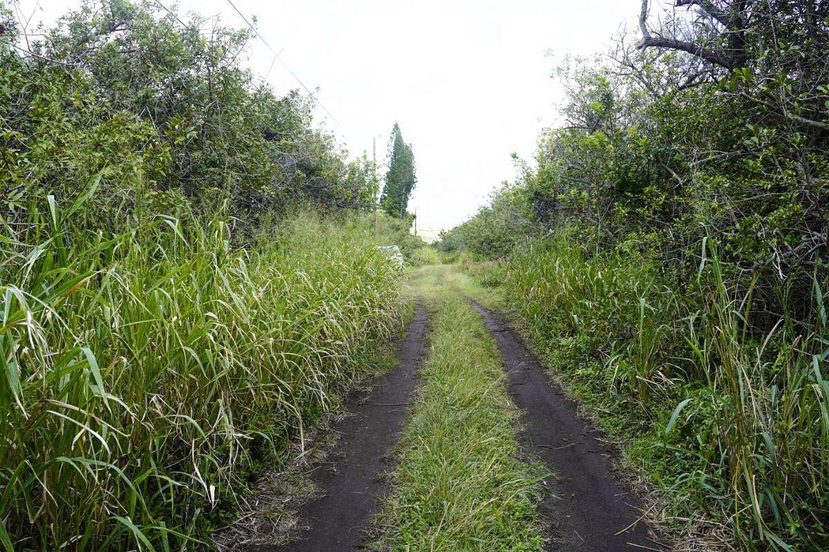 0.334 Acres of Residential Land for Sale in Nāʻālehu, Hawaii