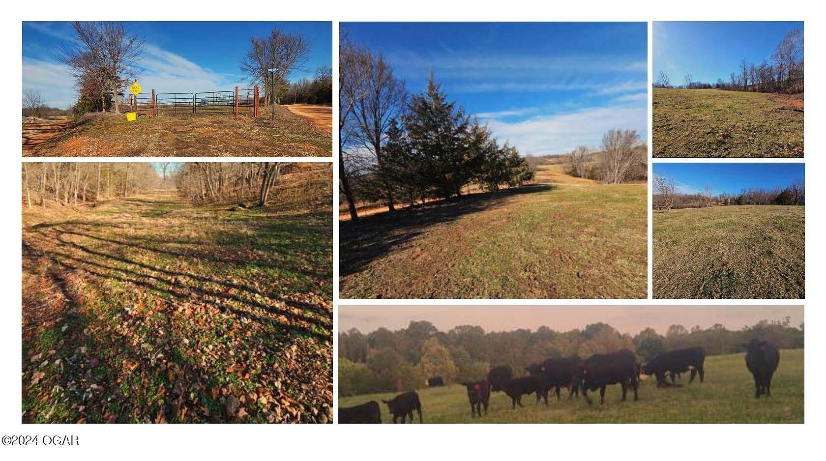 68.8 Acres of Agricultural Land for Sale in Noel, Missouri