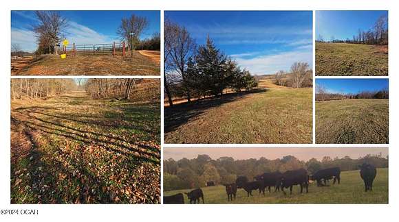 68.8 Acres of Agricultural Land for Sale in Noel, Missouri