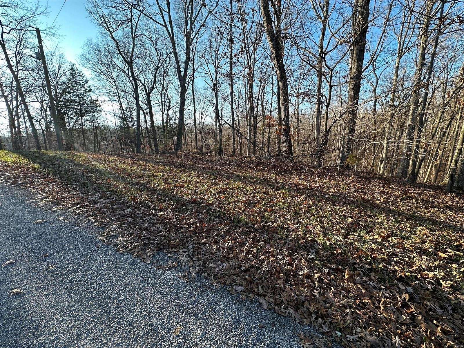 0.42 Acres of Residential Land for Sale in Creal Springs, Illinois
