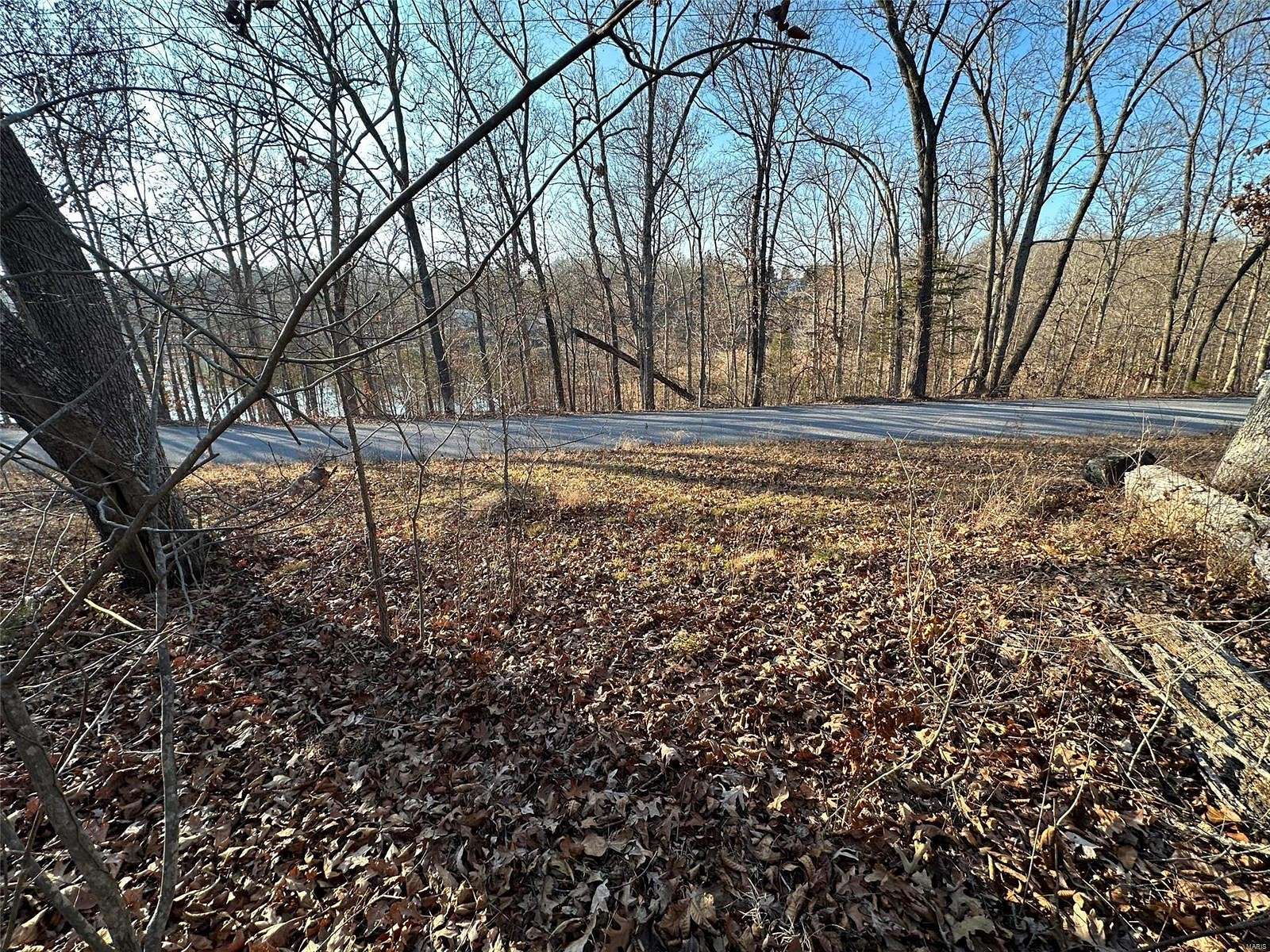 0.35 Acres of Residential Land for Sale in Creal Springs, Illinois