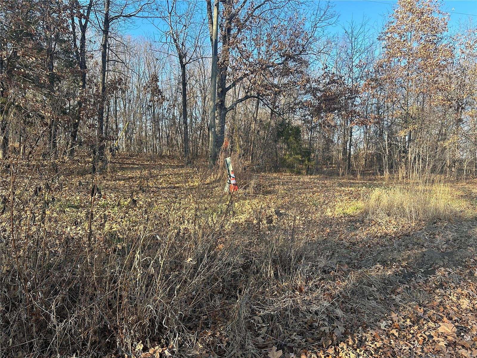 0.92 Acres of Residential Land for Sale in Creal Springs, Illinois