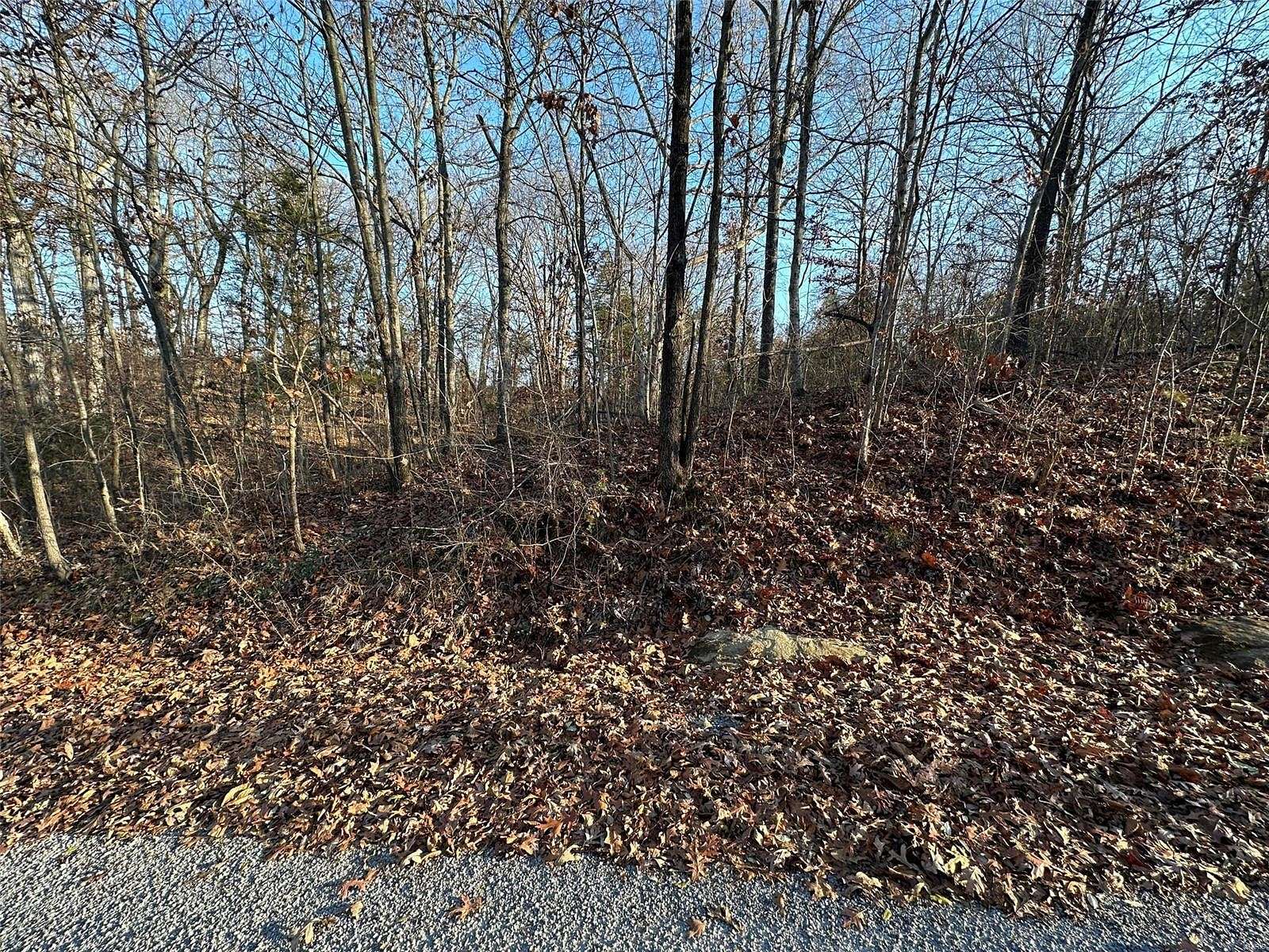0.37 Acres of Residential Land for Sale in Creal Springs, Illinois