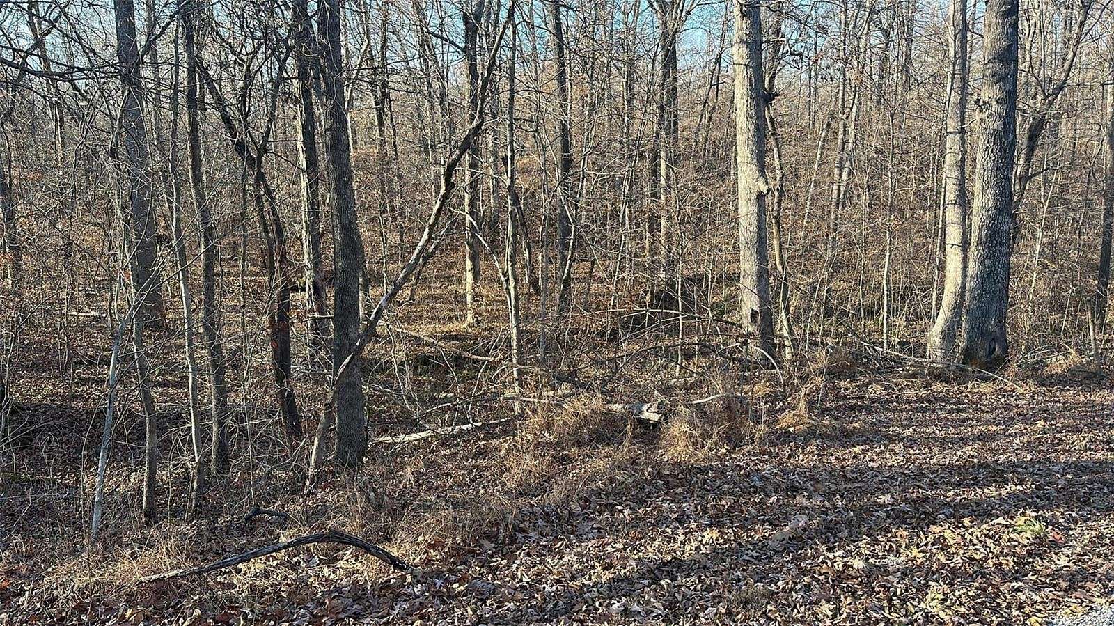 0.28 Acres of Residential Land for Sale in Creal Springs, Illinois