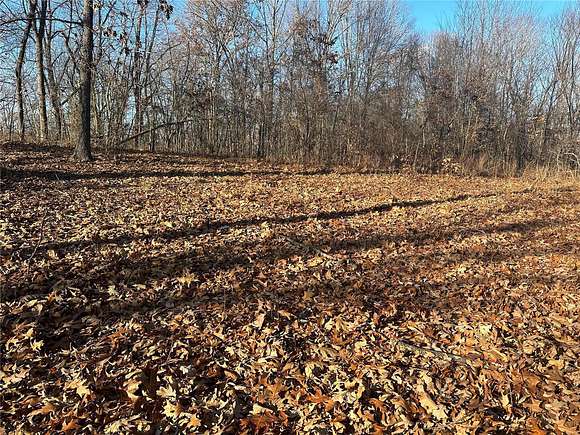 0.41 Acres of Residential Land for Sale in Creal Springs, Illinois