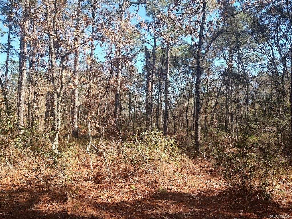 1.1 Acres of Residential Land for Sale in Citrus Springs, Florida