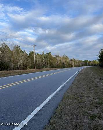 45 Acres of Recreational Land for Sale in Picayune, Mississippi