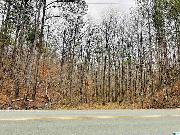 10.7 Acres of Land for Sale in Oxford, Alabama