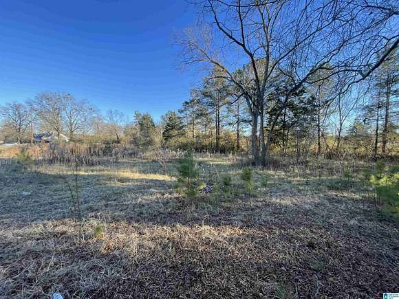2 Acres of Land for Sale in Columbiana, Alabama