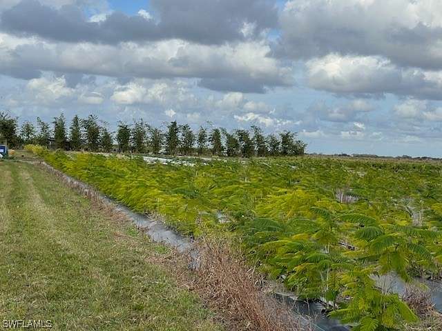 10 Acres of Land for Sale in LaBelle, Florida