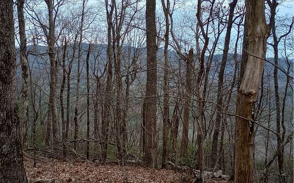 121 Acres of Land for Sale in Ellijay, Georgia