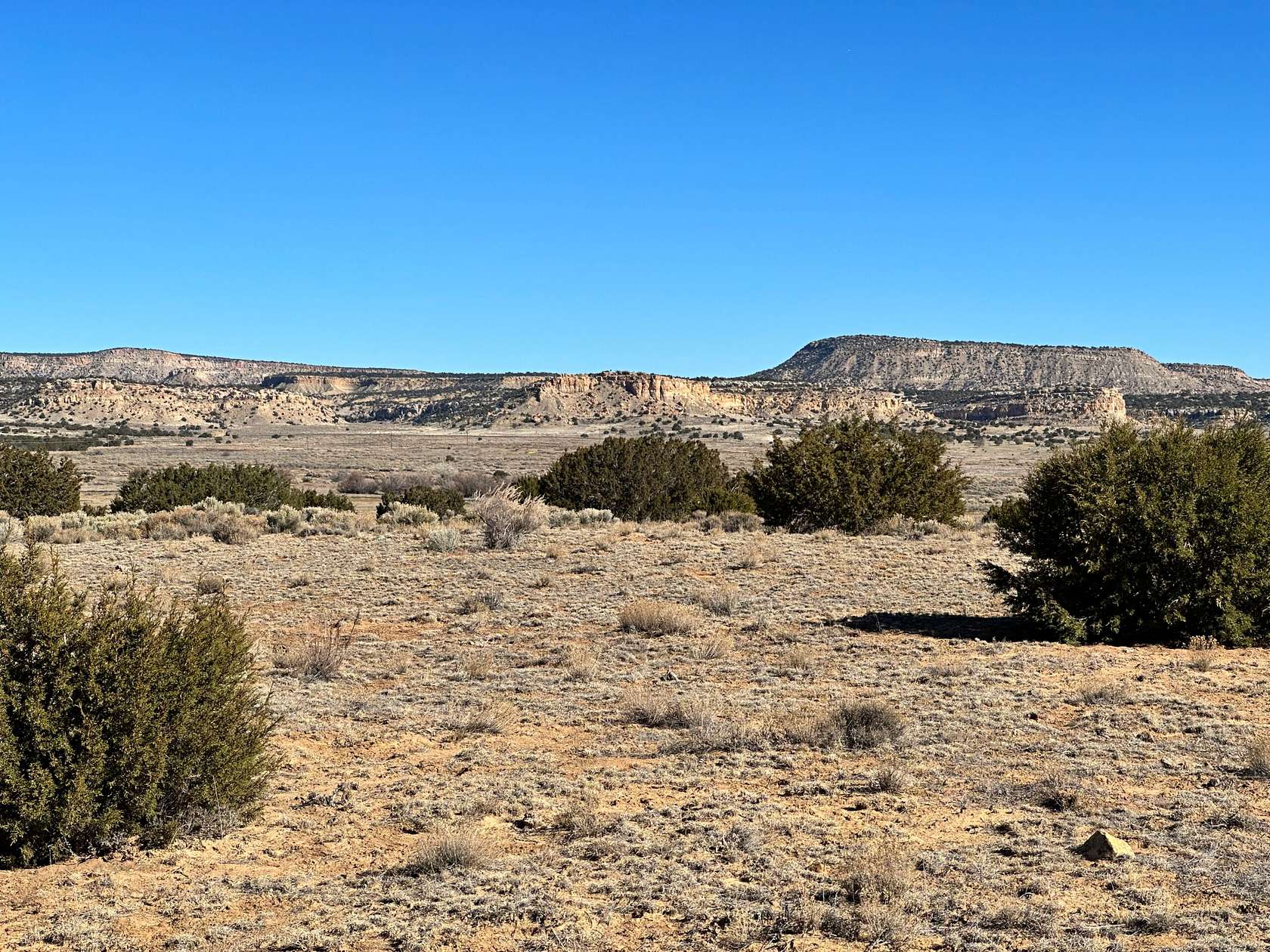 489 Acres of Land for Sale in Milan, New Mexico