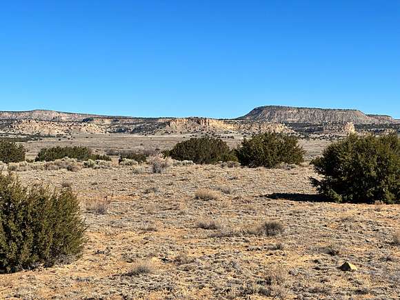 489 Acres of Land for Sale in Milan, New Mexico