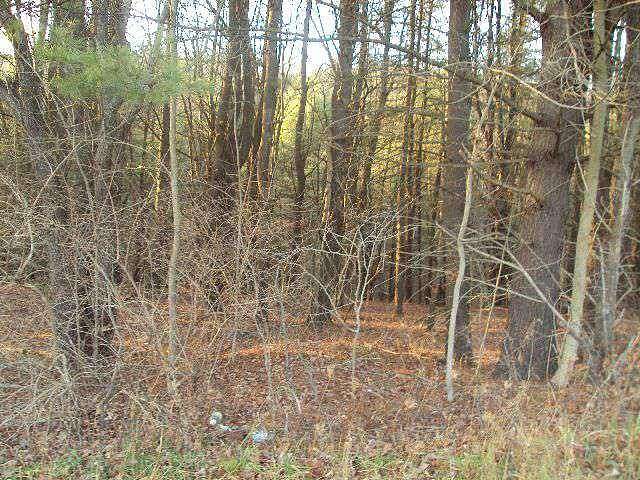 5.6 Acres of Land for Sale in Oneonta, New York