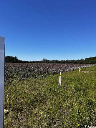 10 Acres of Agricultural Land for Sale in Scranton, South Carolina