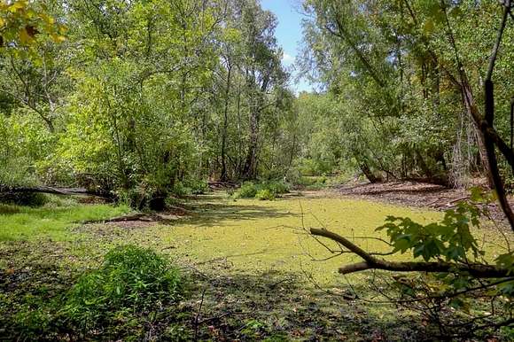 87.3 Acres of Recreational Land & Farm for Sale in St. Gabriel, Louisiana