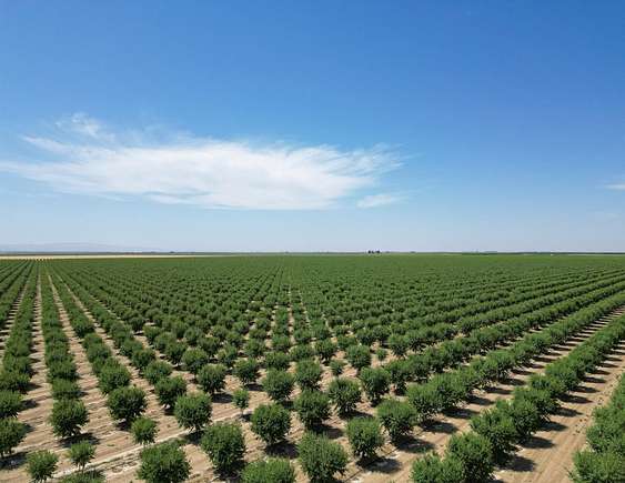 2,184 Acres of Agricultural Land for Sale in Five Points, California