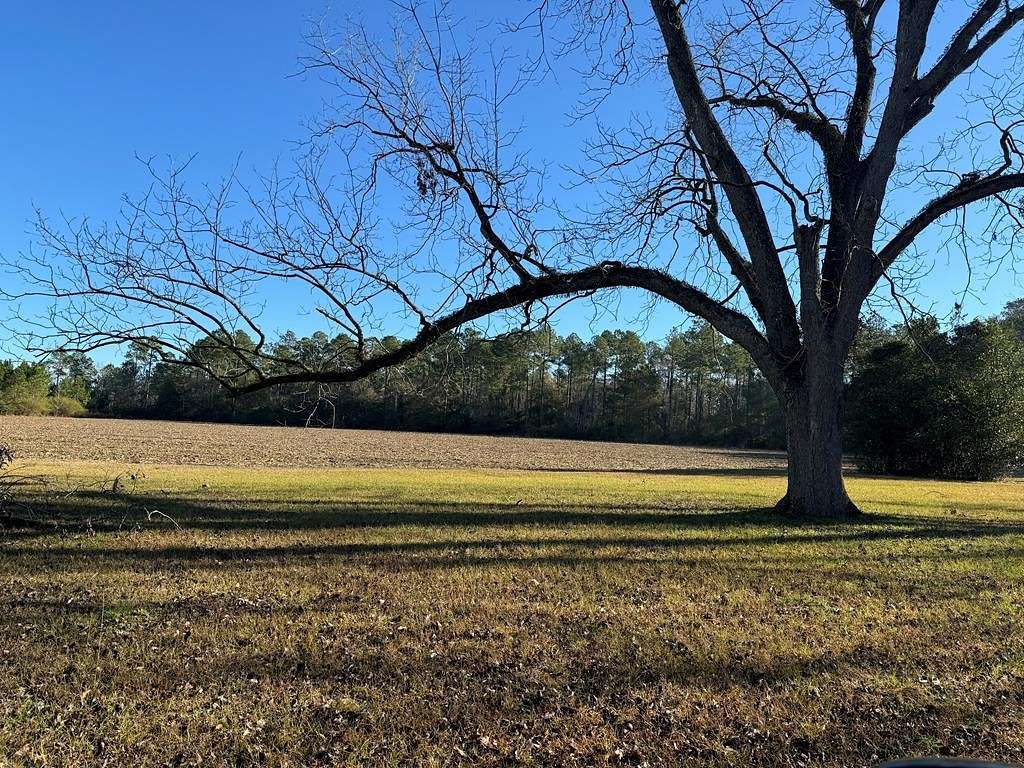 3.8 Acres of Residential Land for Sale in Cairo, Georgia