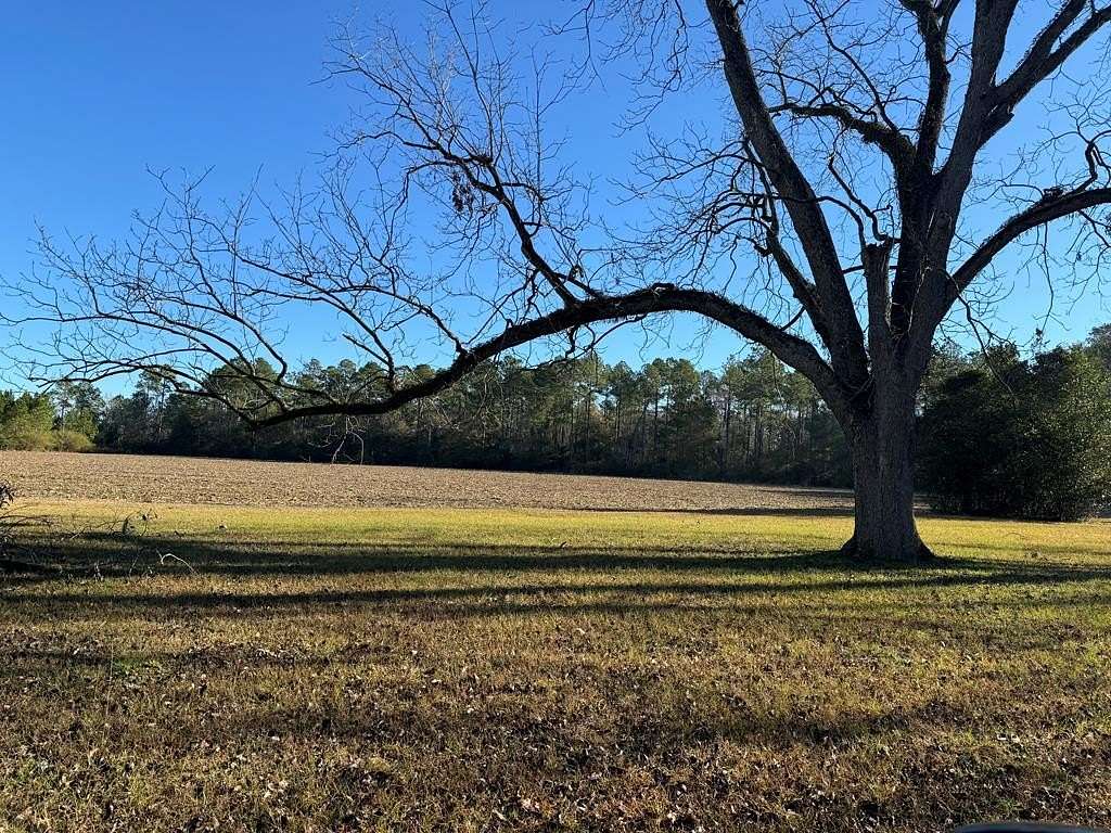 3.79 Acres of Residential Land for Sale in Cairo, Georgia