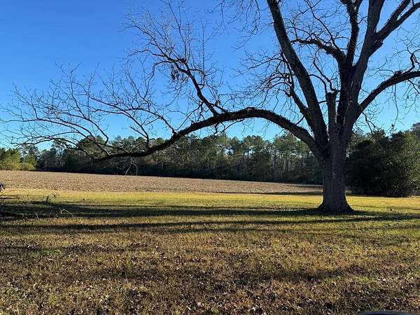 3.79 Acres of Residential Land for Sale in Cairo, Georgia